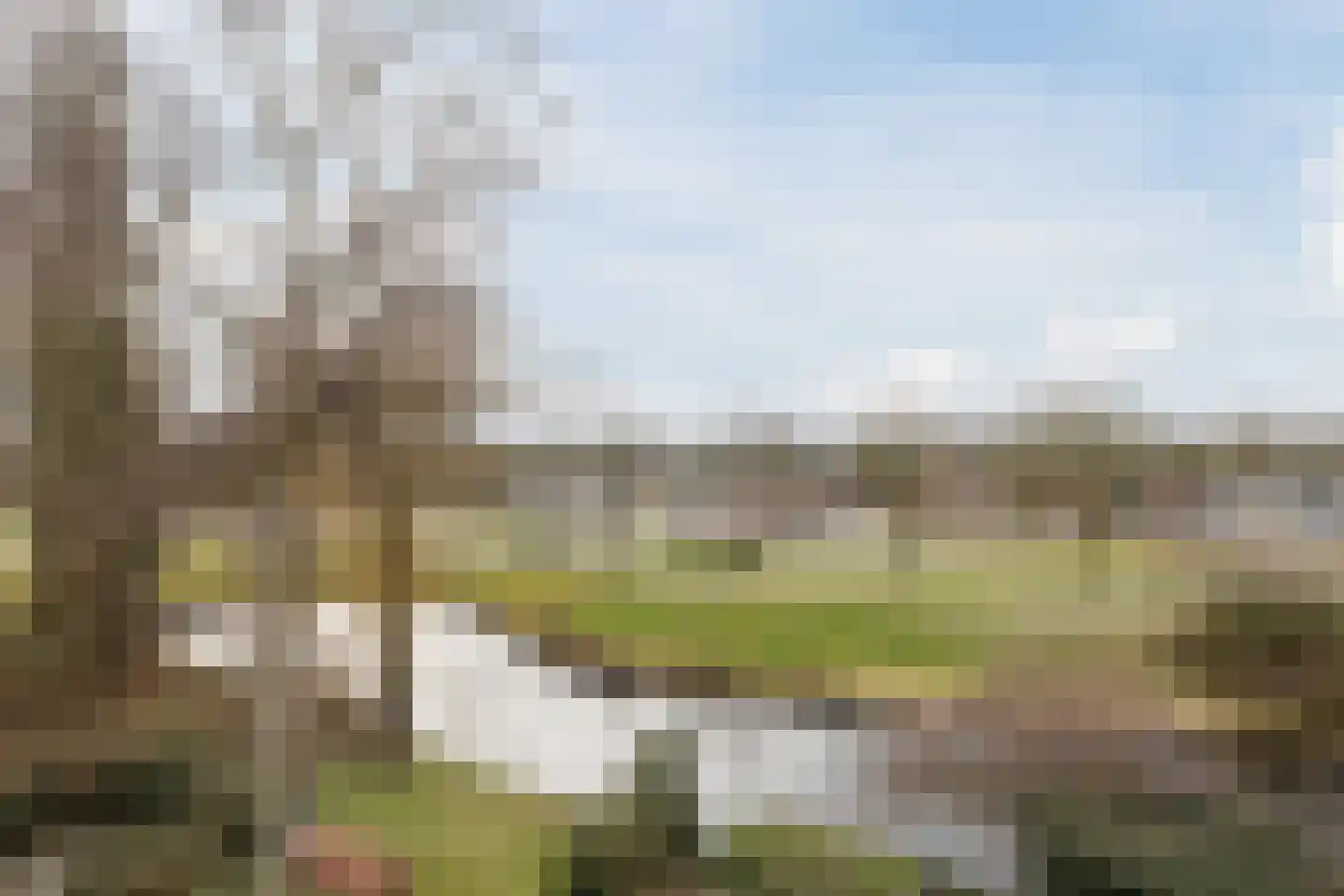 Swammerdamstraat 49 Hoogeveen thumbnail 54