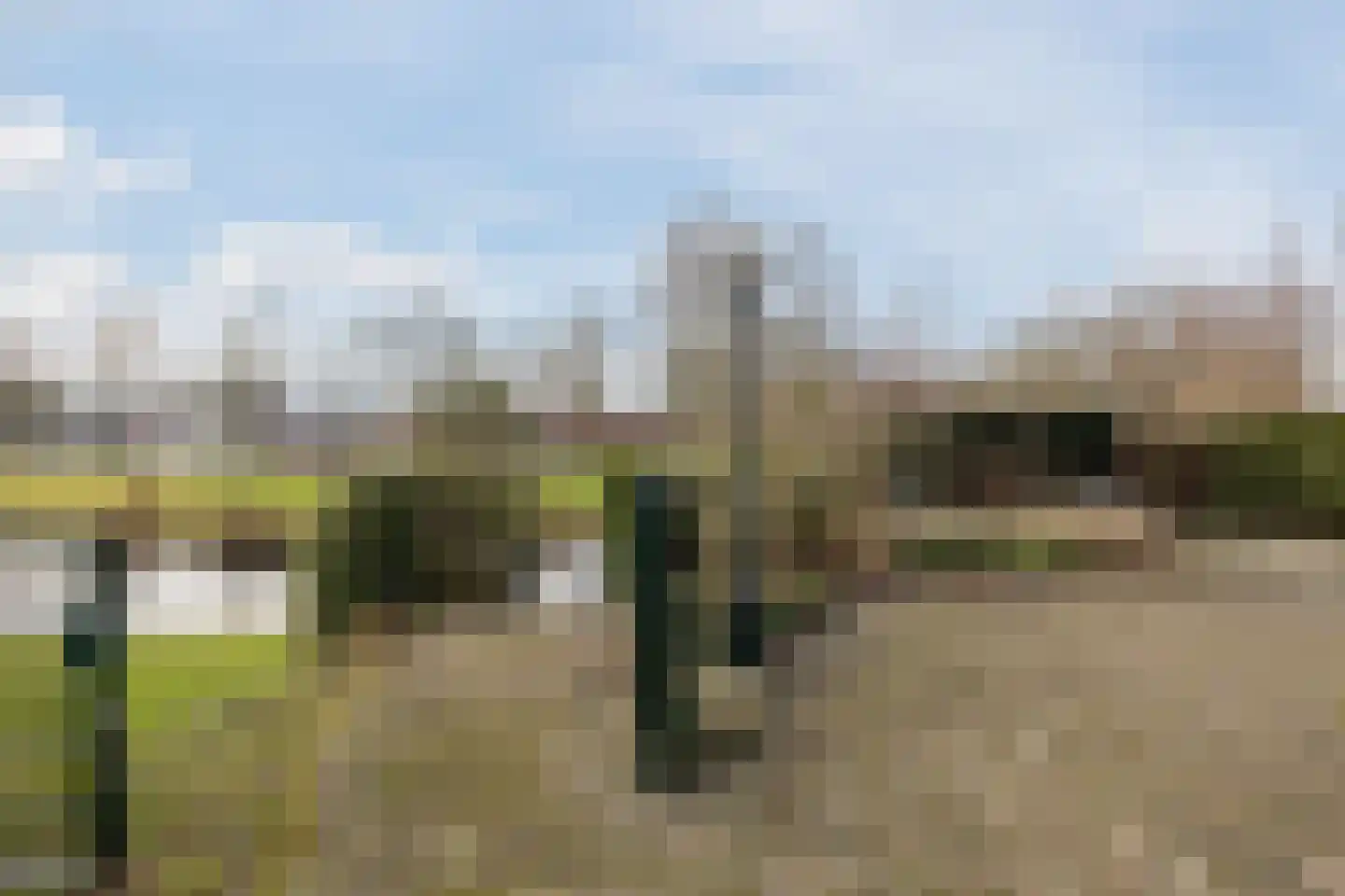 Swammerdamstraat 49 Hoogeveen thumbnail 65