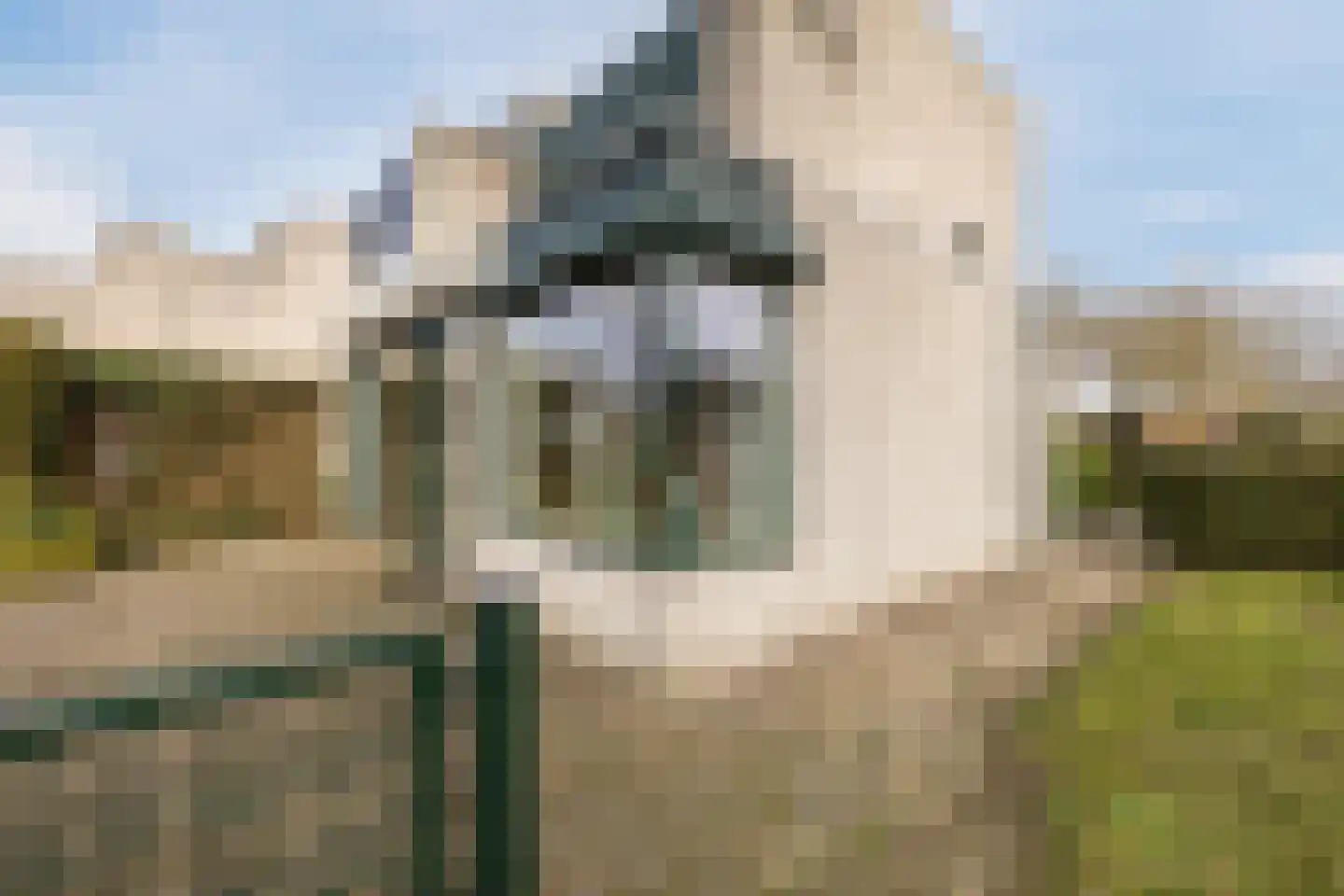 Swammerdamstraat 49 Hoogeveen thumbnail 66