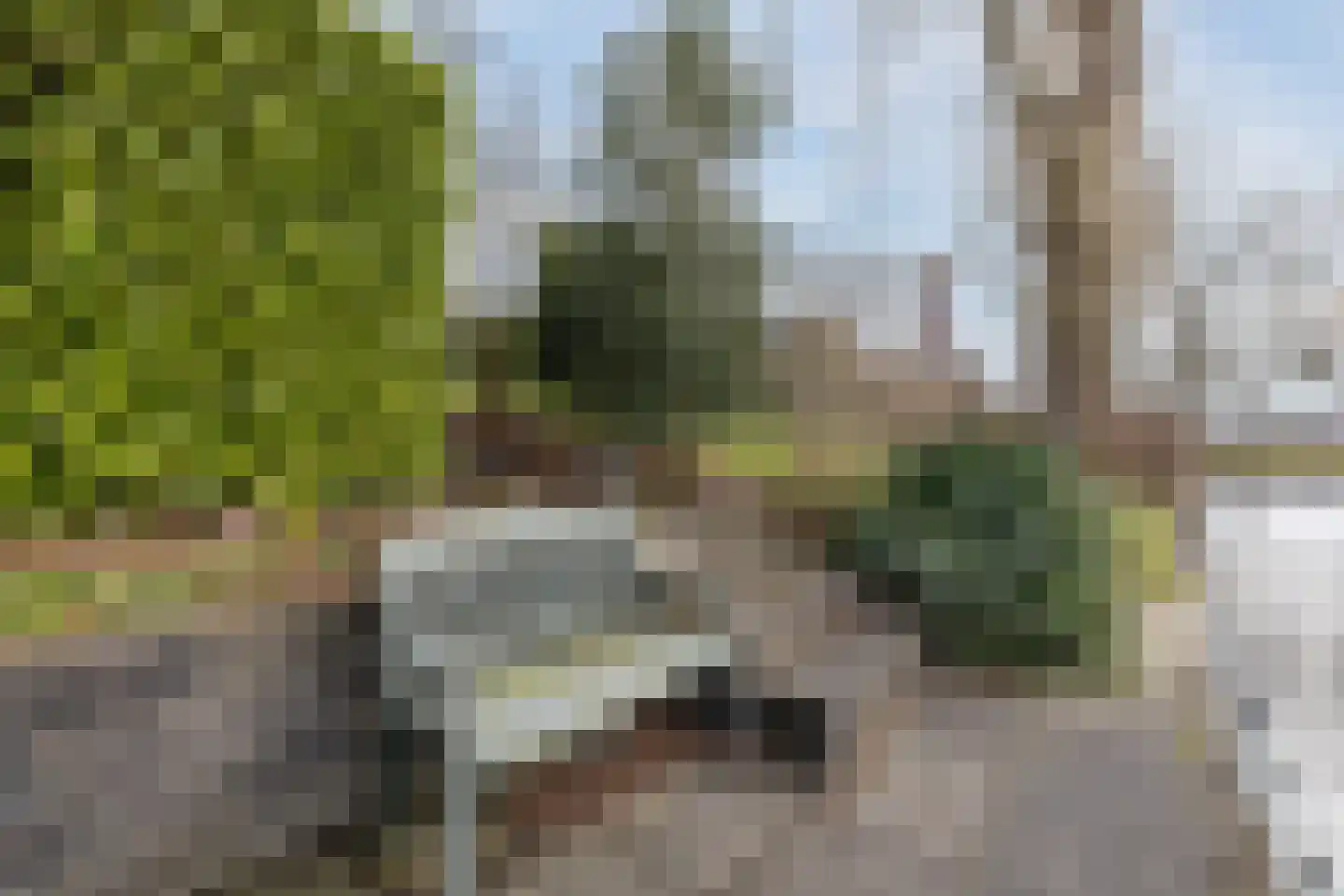 Swammerdamstraat 49 Hoogeveen thumbnail 68