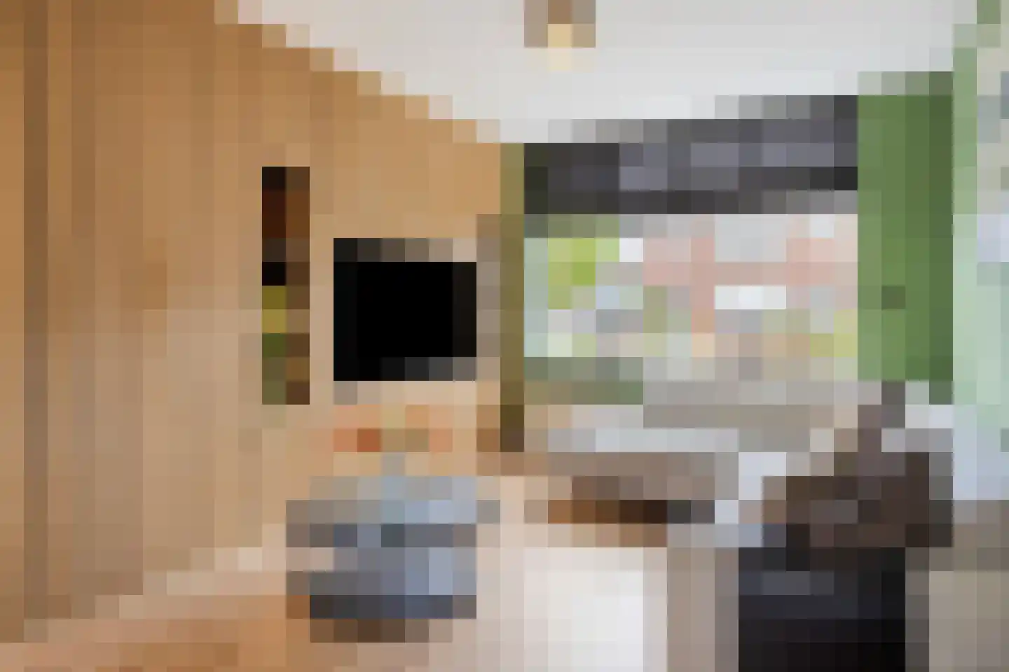 Swammerdamstraat 5 Terneuzen thumbnail 4