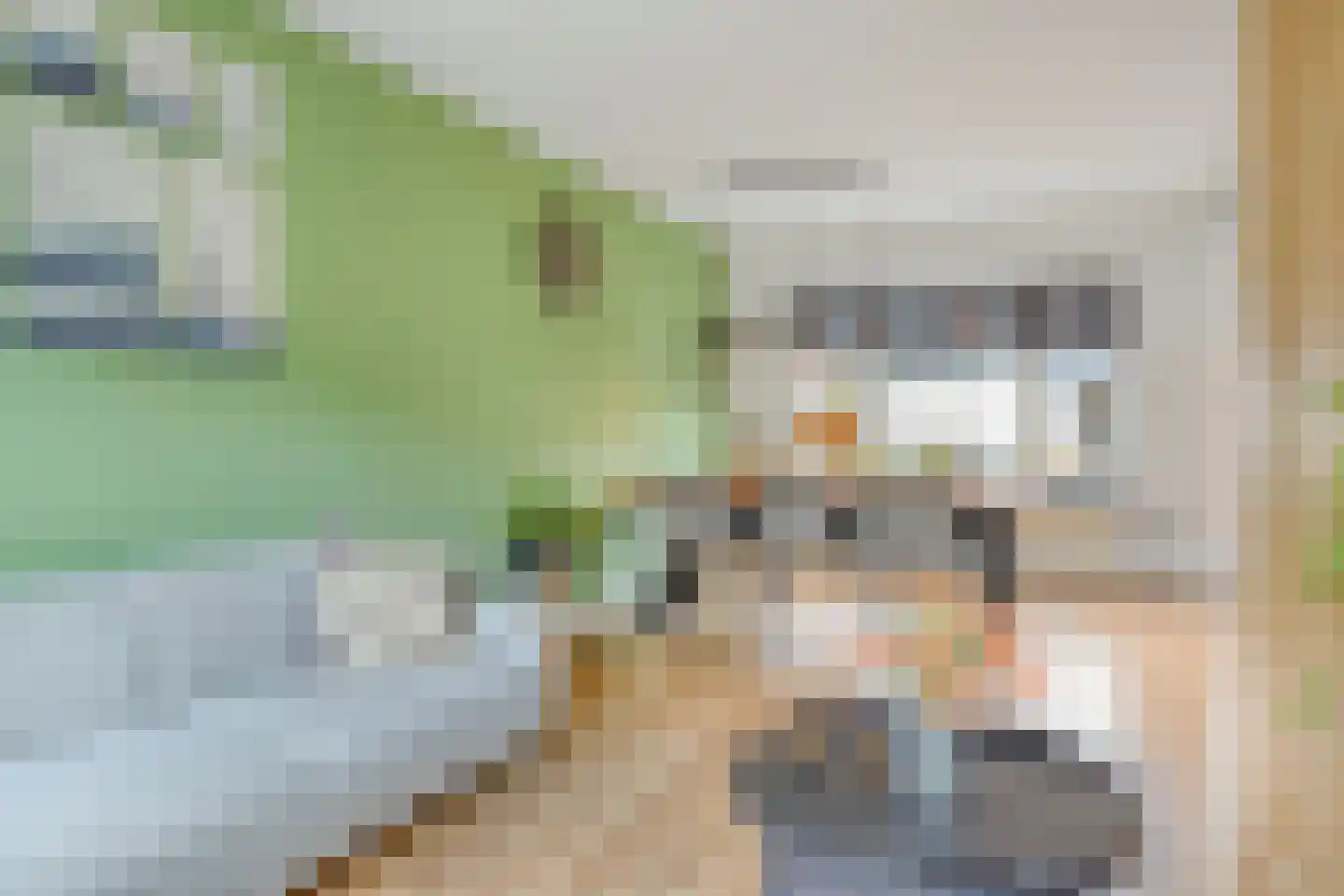 Swammerdamstraat 5 Terneuzen thumbnail 6