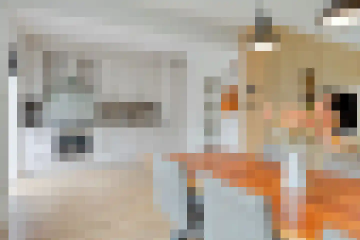 Swammerdamstraat 5 Terneuzen thumbnail 8