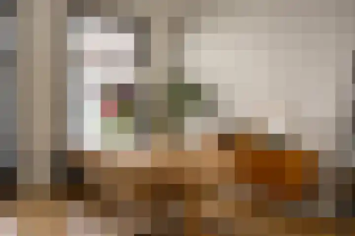 Swammerdamstraat 6 3 Amsterdam thumbnail 10