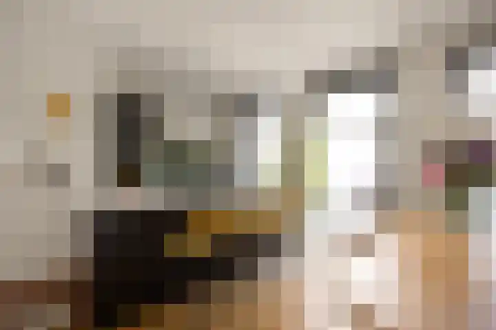Swammerdamstraat 6 3 Amsterdam thumbnail 12