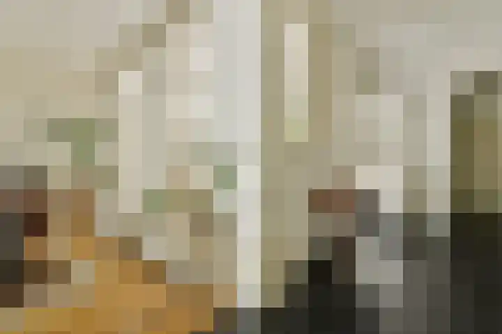 Swammerdamstraat 6 3 Amsterdam thumbnail 16