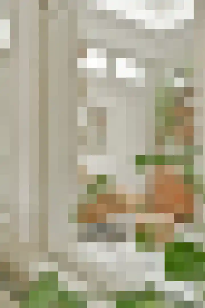 Swammerdamstraat 6 3 Amsterdam thumbnail 17