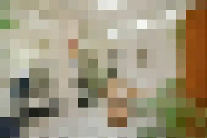 Swammerdamstraat 6 3 Amsterdam thumbnail 19