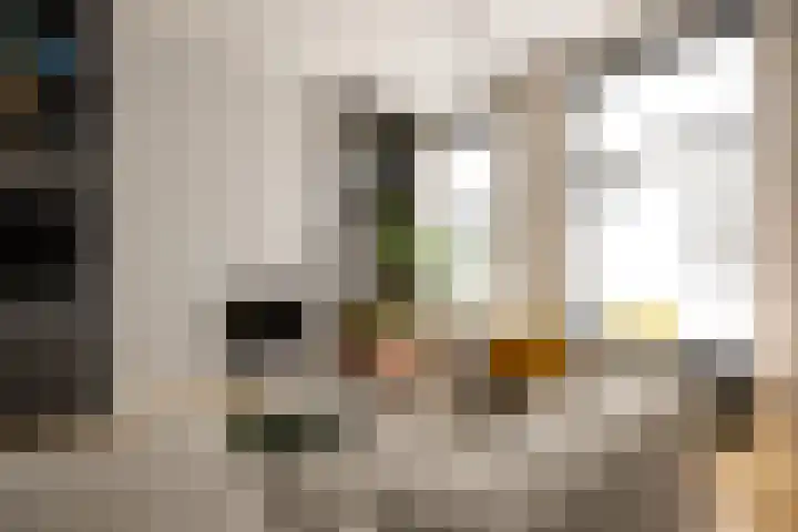 Swammerdamstraat 6 3 Amsterdam thumbnail 27