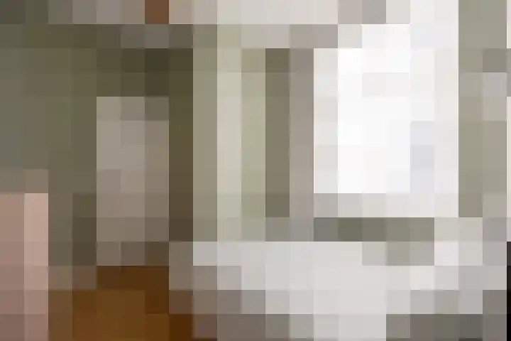 Swammerdamstraat 6 3 Amsterdam thumbnail 34