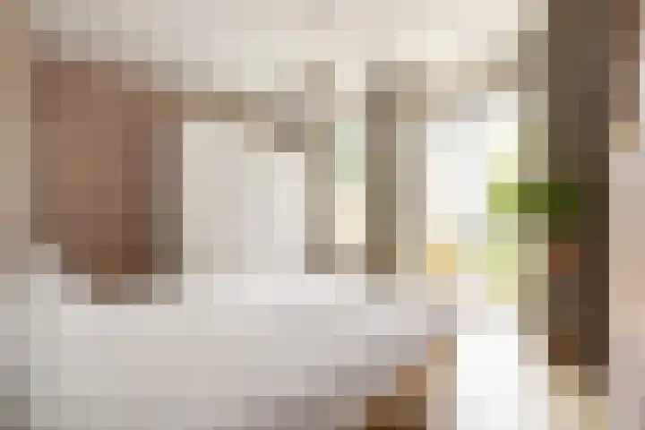 Swammerdamstraat 6 3 Amsterdam thumbnail 40