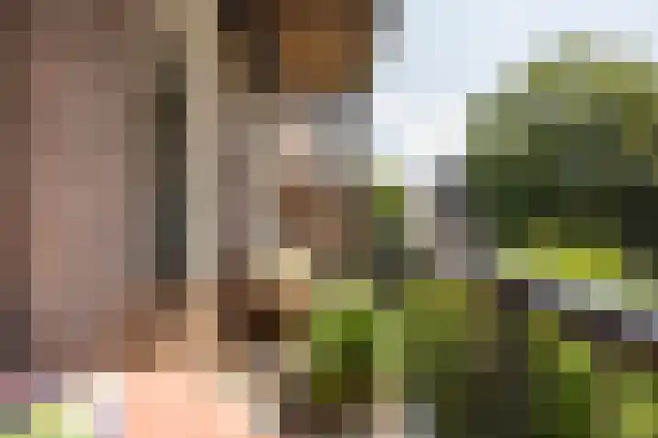 Swammerdamstraat 6 3 Amsterdam thumbnail 48