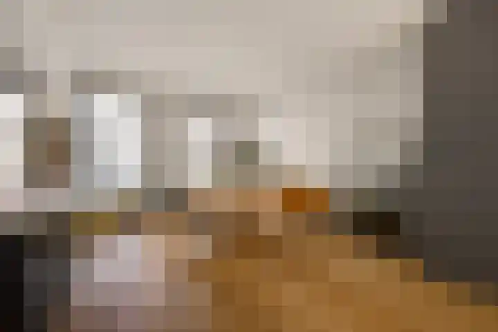 Swammerdamstraat 6 3 Amsterdam thumbnail 6
