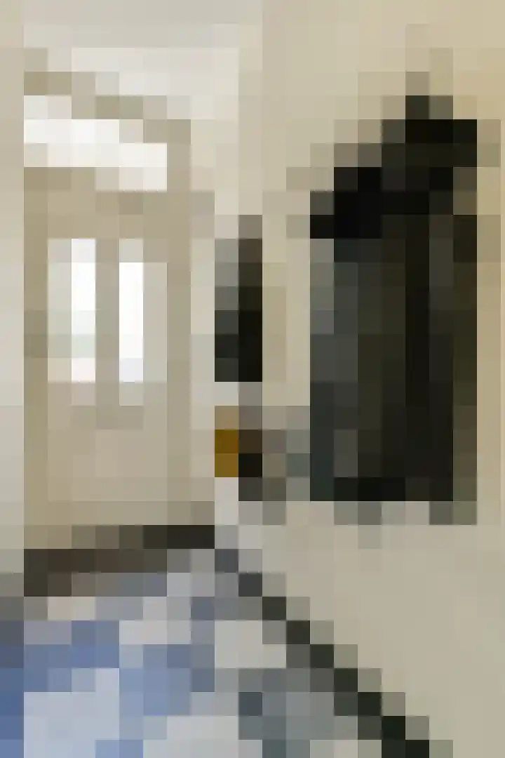 Swammerdamstraat 6 3 Amsterdam thumbnail 6