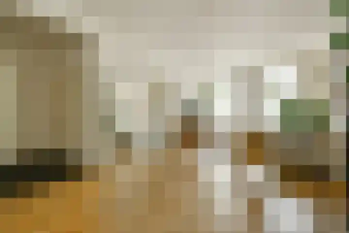 Swammerdamstraat 6 3 Amsterdam thumbnail 8