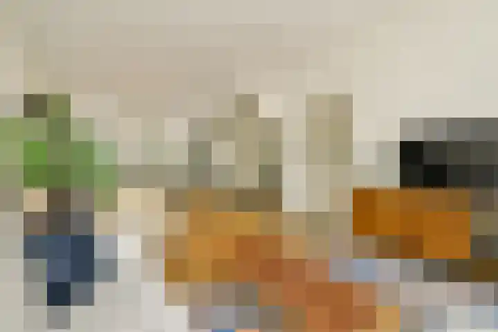 Swammerdamstraat 6 3 Amsterdam thumbnail 9