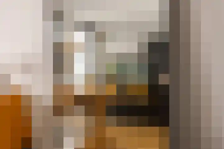 Swammerdamstraat 6 3 Amsterdam thumbnail 9