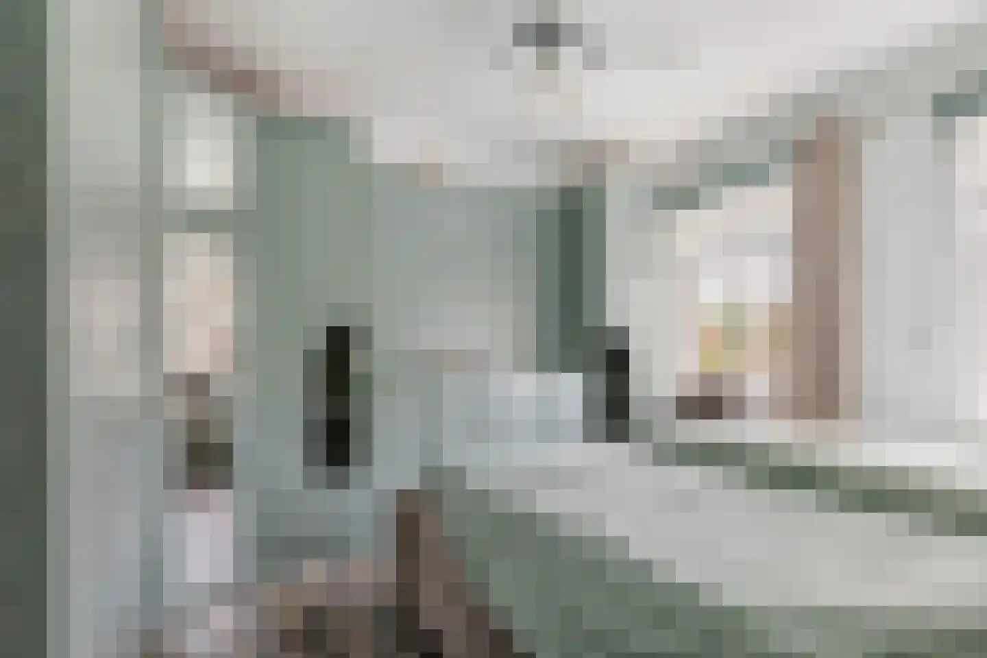 Swammerdamstraat 6 Breda thumbnail 18