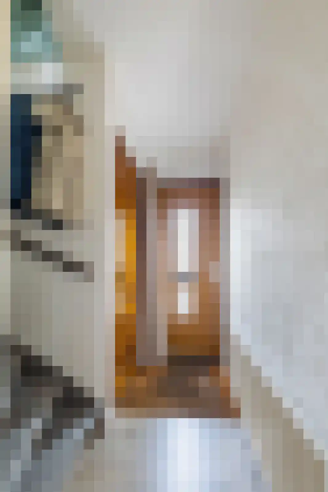 Swammerdamstraat 6 Breda thumbnail 6