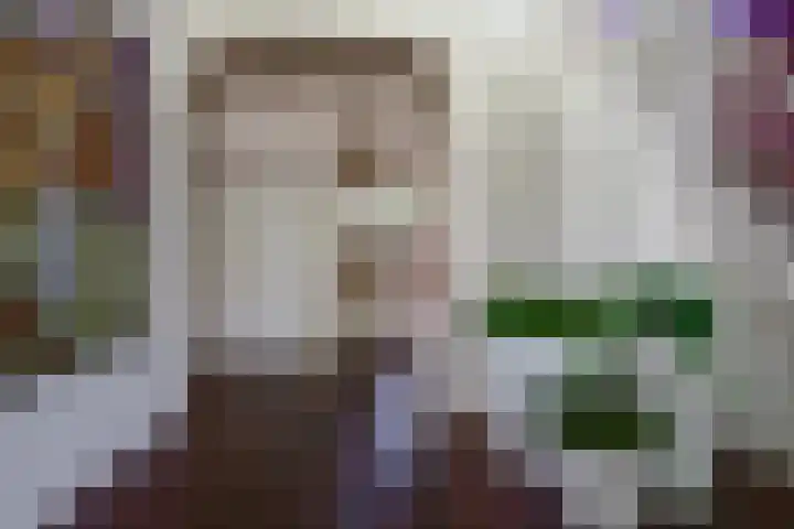 Swammerdamstraat 6 Hengelo thumbnail 10