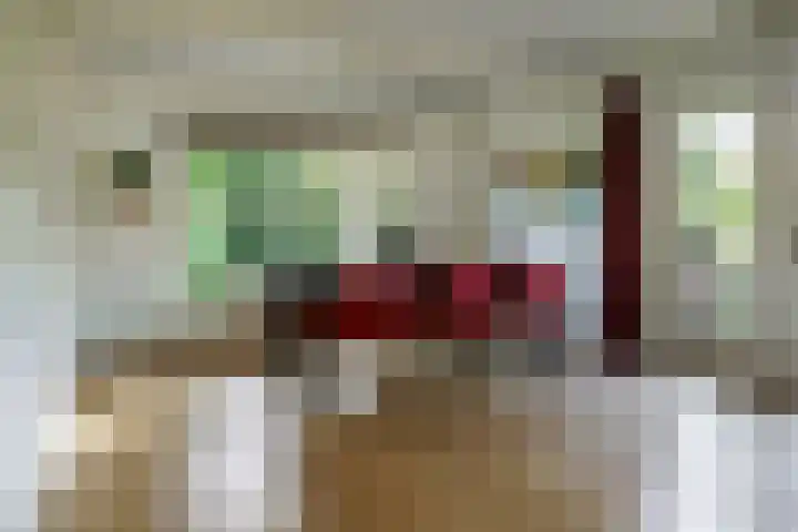 Swammerdamstraat 6 Hengelo thumbnail 24