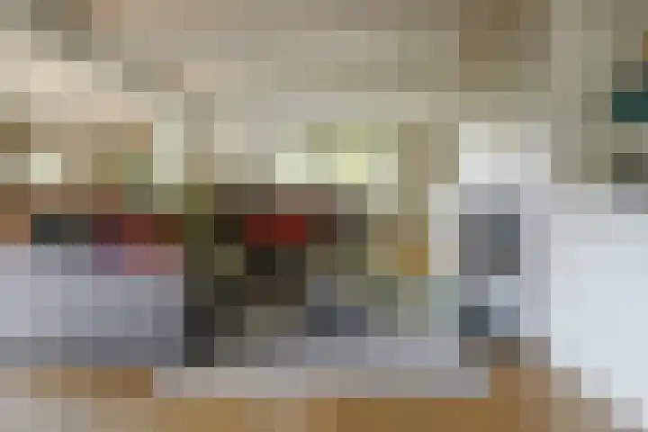 Swammerdamstraat 6 Hengelo thumbnail 26