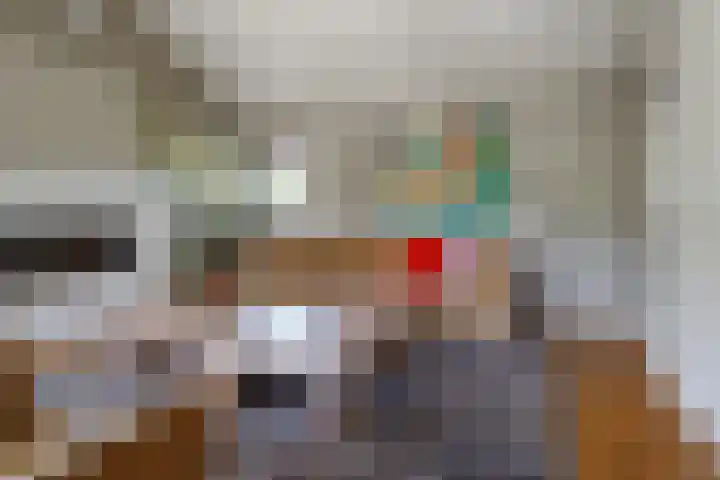 Swammerdamstraat 6 Hengelo thumbnail 31