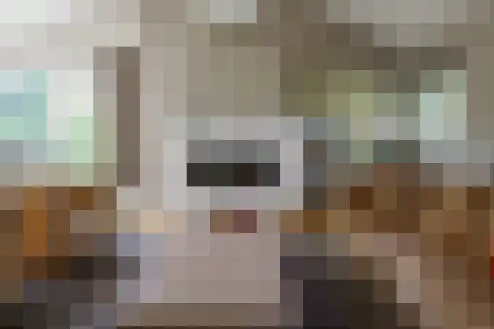 Swammerdamstraat 6 Hengelo thumbnail 33