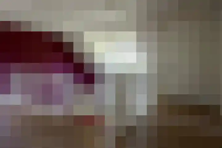 Swammerdamstraat 6 Hengelo thumbnail 35