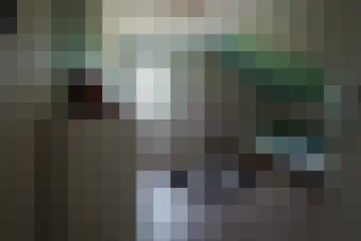 Swammerdamstraat 6 Hengelo thumbnail 38