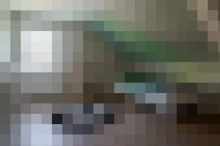 Swammerdamstraat 6 Hengelo thumbnail 39