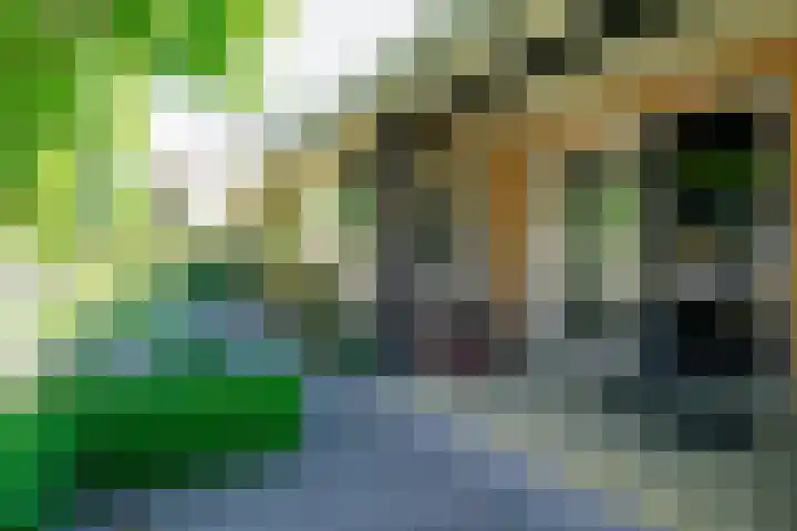Swammerdamstraat 6 Hengelo thumbnail 4
