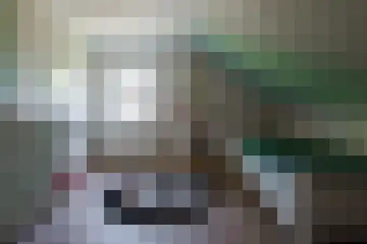 Swammerdamstraat 6 Hengelo thumbnail 41