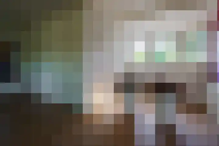Swammerdamstraat 6 Hengelo thumbnail 43