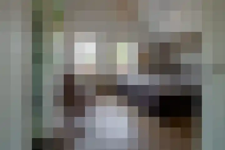 Swammerdamstraat 6 Hengelo thumbnail 44