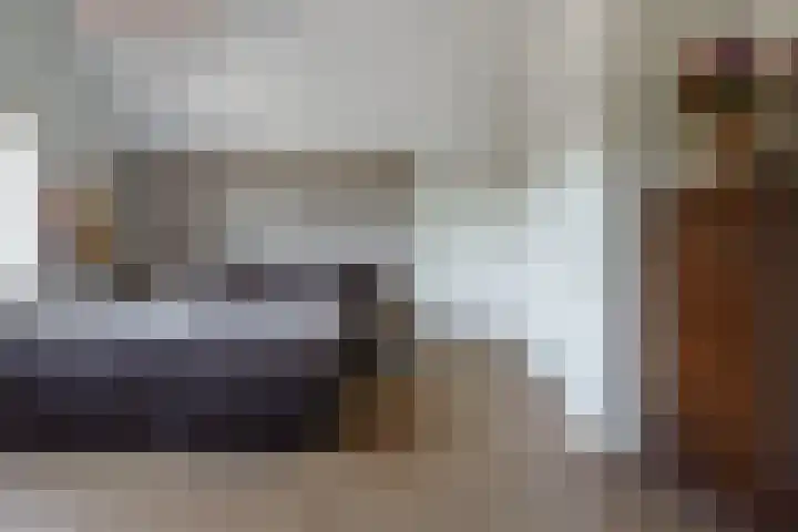 Swammerdamstraat 6 Hengelo thumbnail 45