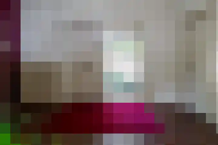 Swammerdamstraat 6 Hengelo thumbnail 5