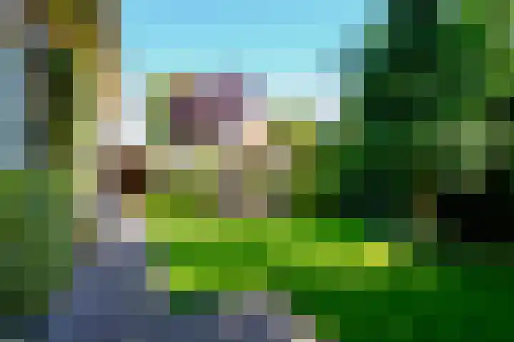 Swammerdamstraat 6 Hengelo thumbnail 50