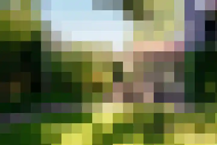 Swammerdamstraat 6 Hengelo thumbnail 54