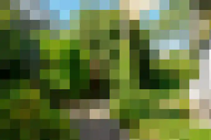 Swammerdamstraat 6 Hengelo thumbnail 56