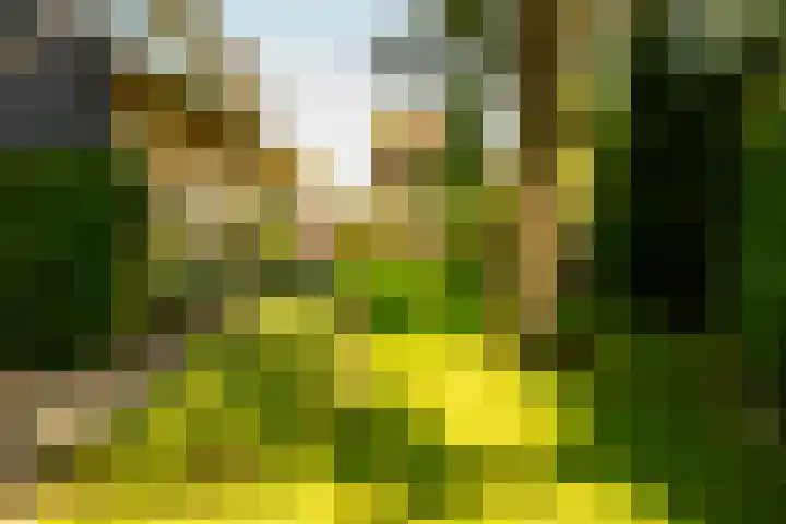 Swammerdamstraat 6 Hengelo thumbnail 59