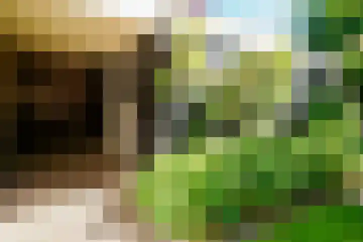 Swammerdamstraat 6 Hengelo thumbnail 60
