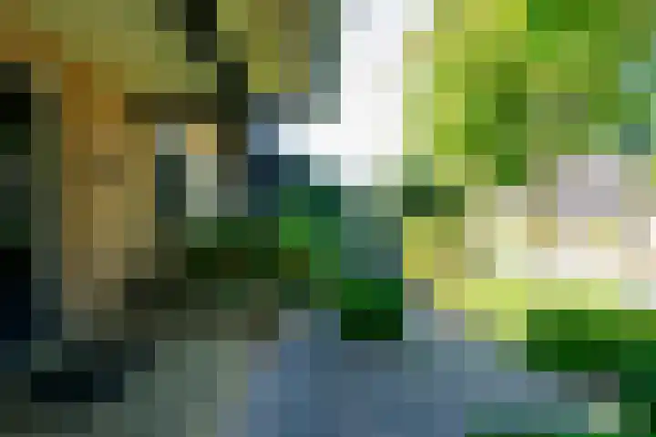 Swammerdamstraat 6 Hengelo thumbnail 62