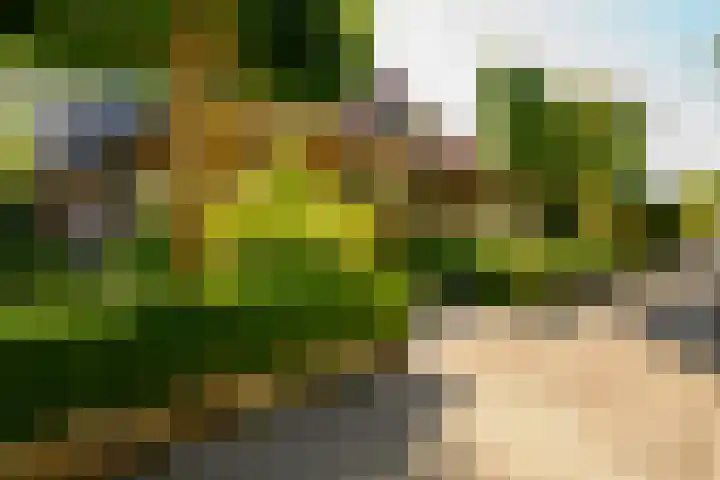 Swammerdamstraat 6 Hengelo thumbnail 64