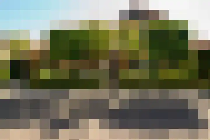 Swammerdamstraat 6 Hengelo thumbnail 66