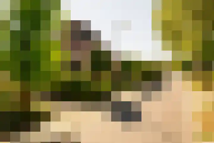 Swammerdamstraat 6 Hengelo thumbnail 67