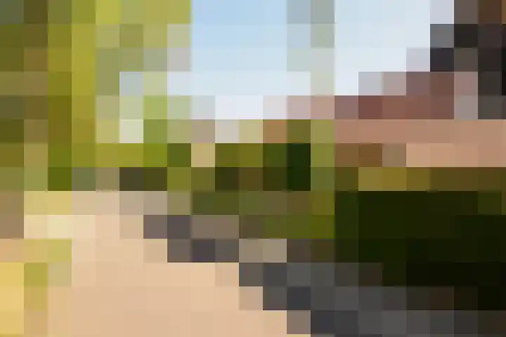 Swammerdamstraat 6 Hengelo thumbnail 68
