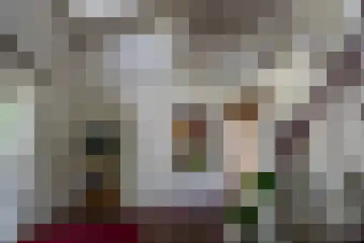 Swammerdamstraat 6 Hengelo thumbnail 8