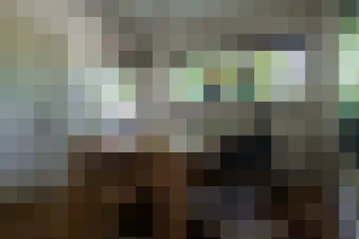 Swammerdamstraat 6 Hengelo thumbnail 9