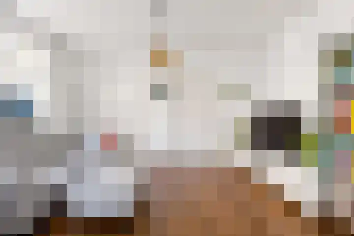 Swammerdamstraat 6 Utrecht thumbnail 14